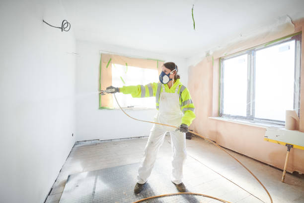 Best Basement Mold Removal  in Bangor, PA
