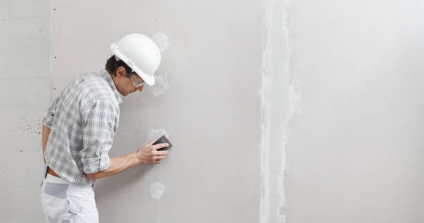  Bangor, PA Mold Removal Pros