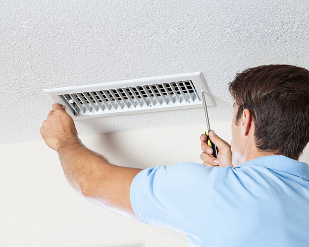 Best Mold Remediation for Healthcare Facilities  in Bangor, PA